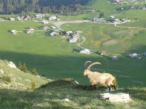 Peinture et ravalement Brizon