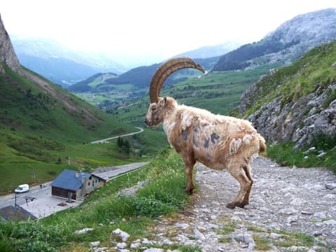 Peinture et ravalement Le Reposoir